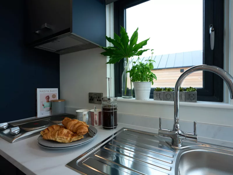 Kitchen of C250 houseboat showing hob and sink with some croissants and coffee and a window with plants in it